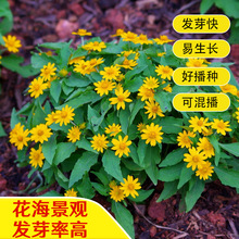 ʵ۾շNӄęԾ^GNӲݻNļ׷N