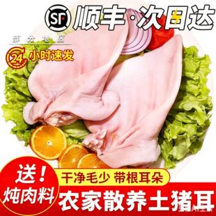 ���r�����i��������i�����i��Ƭ���i���u�˸�С�Ƀ�ȥë��S���]