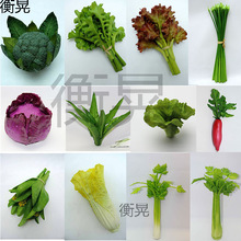 �[PU�ٴ��[ģ���߲�ʳƷ�zӰ�����[�����߃�ͯ��̴����[���