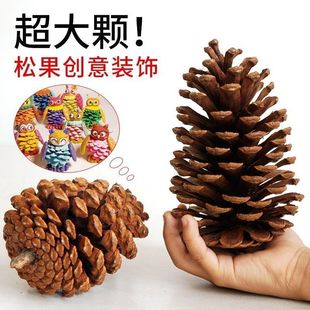 ��ȻҰ���ɹ��������������ɹ��ش�̖�}�Q��diy�bh���ֹ��[��