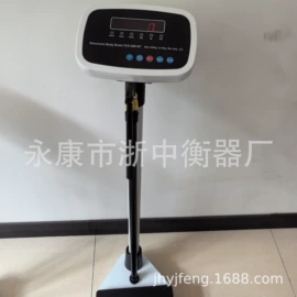 吊秤;台秤;手提秤