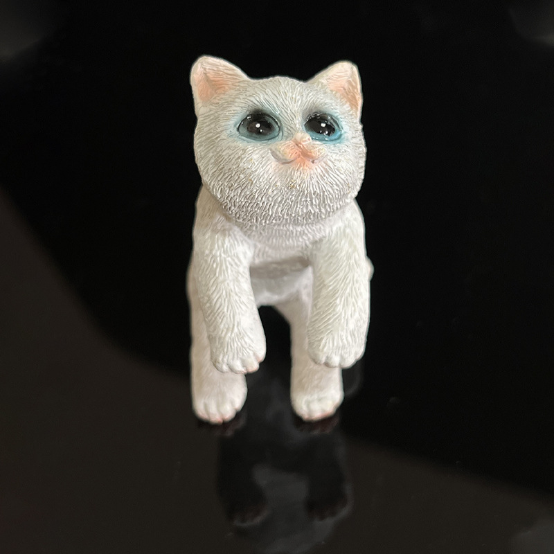 Котенок на танке белый