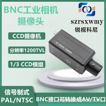 1200线彩色BNC工业相机监控机器视觉摄像头 1/3芯片CCD二次元相机