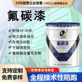 户外防腐氟碳漆快干金属漆不锈钢板幕墙钢结构防腐漆银粉漆氟碳漆
