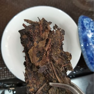 �����ڲ����u��2015���ֺB��u����ꐲ����l���ϰ����ڲ�