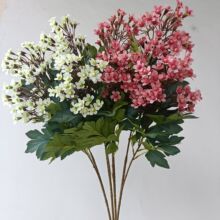 2����������滨�Ҿ��b�����յ��߻�c��Y�����ٻ����܈�������