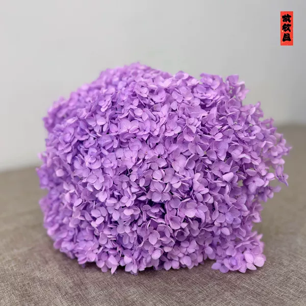 Quartz purple/support