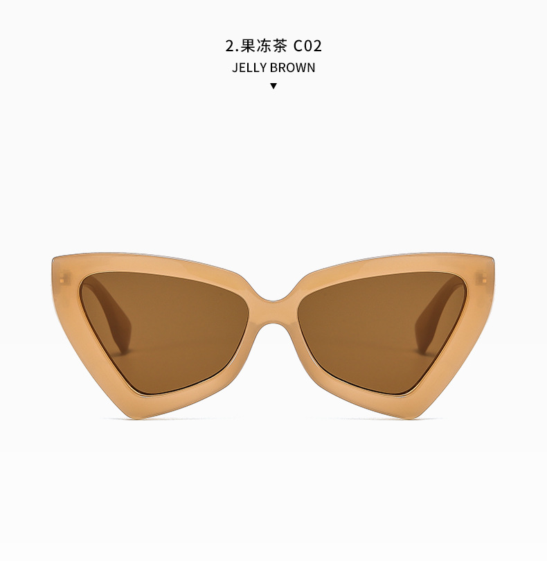 New Cat Eye Irregular Frame Solid Color Leopard Sunglasses Wholesale Nihaojewelry display picture 1