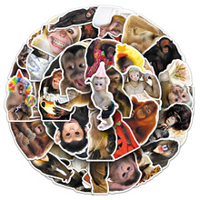 50������ĺ����N�������R�D��ք��������T�f�ľ߻����^���N��