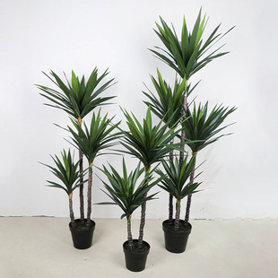 ����Gֲ���m�F�S��ֱ�N�����b�ֲ�������m�Gֲ�����쾰�[��