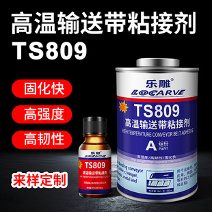 ����TS808 TS809ݔ�͎�ճ�ӄ� TS919�ߏ��ȿ������z���a��TS919N