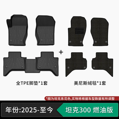 Modelə uyğun ayaqaltı specialized TPE car floor mats - 25-present-model-tank-300-gasoline-version-tpe-floor-mats-menis-velvet-carpet