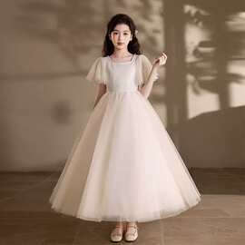 外贸货源儿童礼服新款简约甜美蓬蓬纱裙女童小提琴演奏公主裙