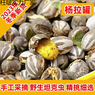 ̹���x�����ތW������}���W�^�����۴�����z����ʳ�ߵ���������