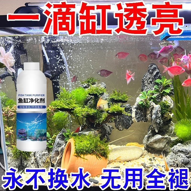 Purificador de Agua para Acuarios de Nitrobacterias, Limpiador y Eliminador de Algas, para Peceras image 2