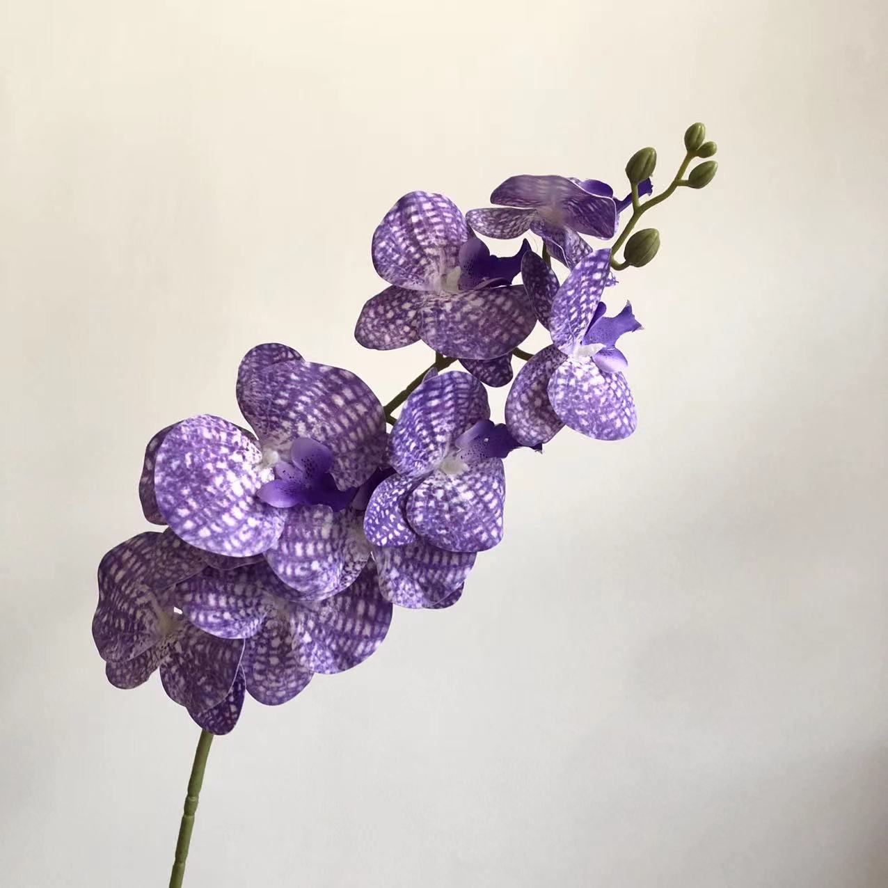 꽃 보라색