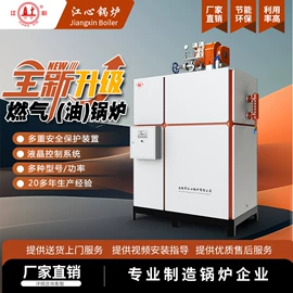 电热锅炉;燃煤锅炉;整熨设备