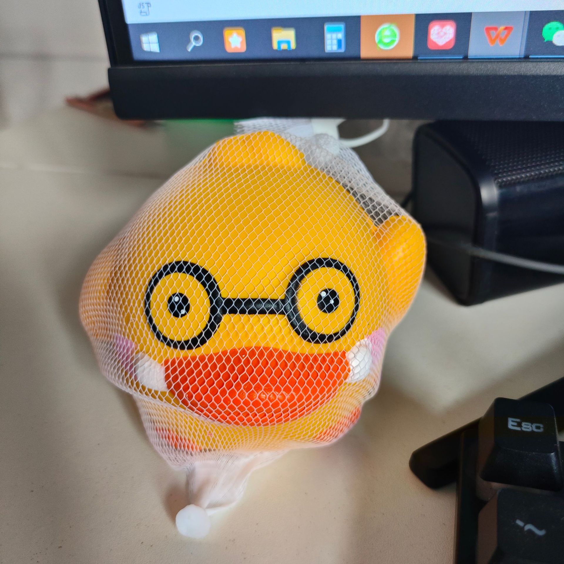 Kapibalah Piggy Castor pellizcando música rebote lento descompresión juguete muñeca regalo Bob Esponja fábrica al por mayor