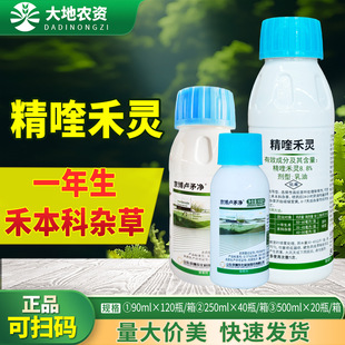 �����Rì���Jé��8.8%��୺��Ͳ˴󶹺̱����s�ݠ����rș���݄�