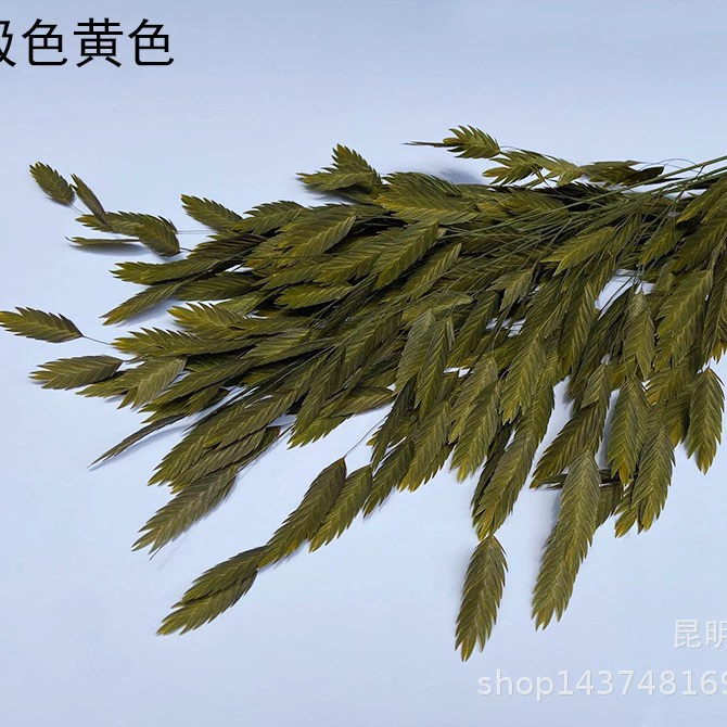 Сохранённые вечные цветочные стебли Xiao Pianwang Cao, цветочная сушёная букетная композиция, 10 шт, 30–60 см