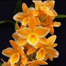 �ô�ʯ��������󻨝������m���ܾ�Ʒʯ���m��ˮʯ����Ʒ����