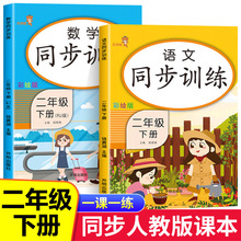 2022新版 二年级下册同步训练人教版 语文数学同步练习册专项强化