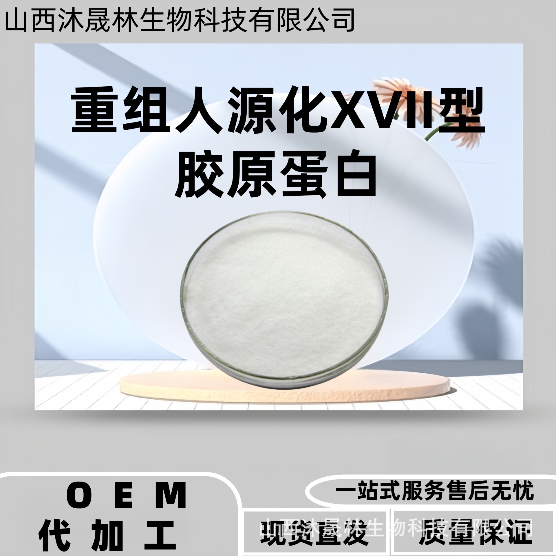 重组人源化XVII型胶原蛋白（无菌冻干粉）11.98kDa Humanized Typ