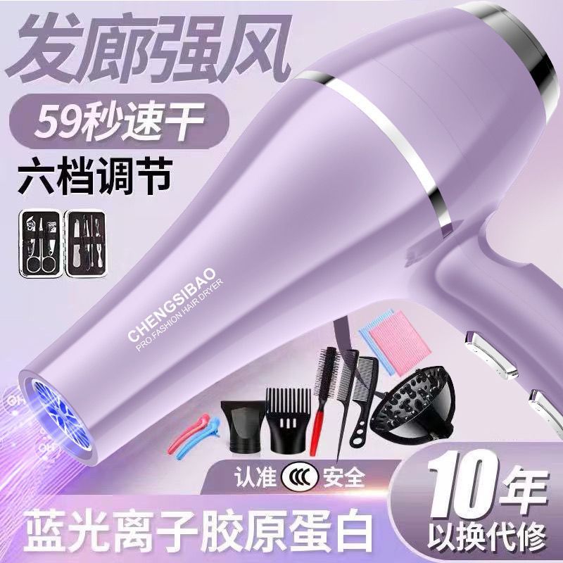 Hair Salon Special Hair Dryer Household High-Power Wind Quick-Drying Barber Shop Hair Care Negative Ion Hair Dryer Hot and Cold