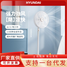 HYUNDAI�n���F����L������ȴ��L�������o��С����ȏ����u�^��