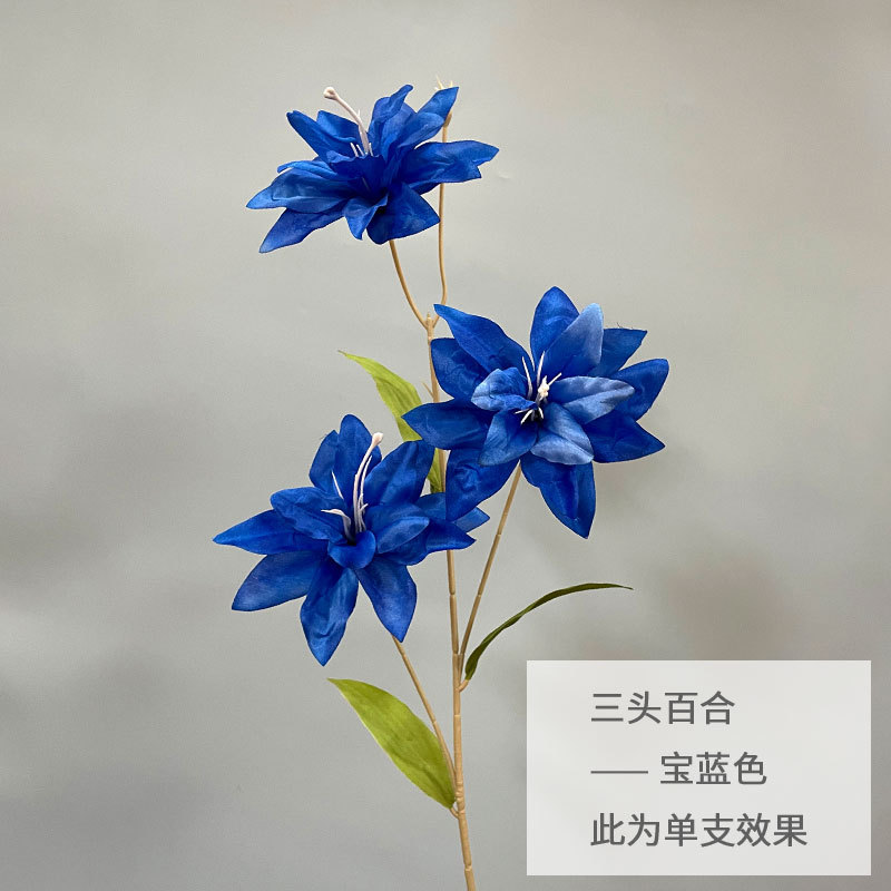 로얄 블루