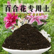 百合花土百合花土营养土通用盆栽土种植种花养花泥土透气