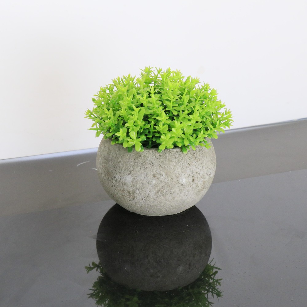 Simulación de planta carnosa en maceta bola de Milán degradable pulpa retro hemisferio ovalado maceta verde bonsai Amazon transfronterizo