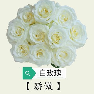 Fresh White Wedding Flowers, Wedding Hall Flowers, Roses, Direct Supply from Yunnan Base to Flower Shop, Cold Chain Transportation, Fresh Delivery to Home