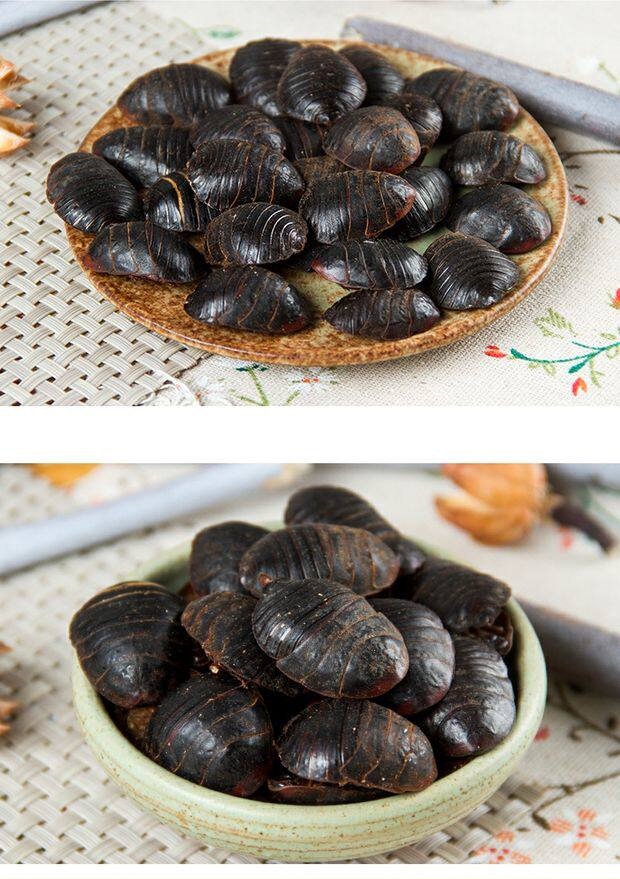 Dried Ground Beetle Tu Bie Chong 500g Loose Traditional Chinese Herb quality and texture