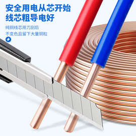 金联宇国标阻燃BV1.5 2.5 4 6平方单股铜芯单塑家装家用电线零剪