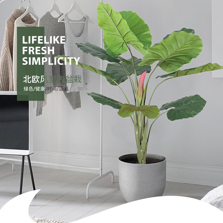 Estilo moderno decorativo planta verde bonsai al por mayor simulación Arco Iris Taro bonsai gran interior planta verde árbol artificial adornos