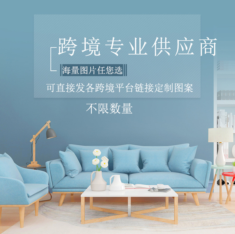 跨境供应商详情