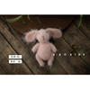 Doll, rabbit, toy for new born, clothing suitable for photo sessions, children's props, jewelry