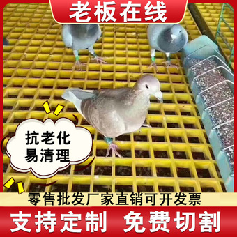 玻璃钢格栅鸽舍地网小孔网格板漏粪养殖排水沟格栅光伏走道板
