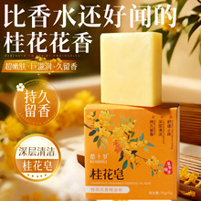 ��ʮ�q�𻨻��㾫����غ͝����澏ֹ�W���ɱ�������ȫ������