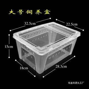 �����п ����^��С����WУС�̈́��﷿�ӸC͸�⎧����B�����