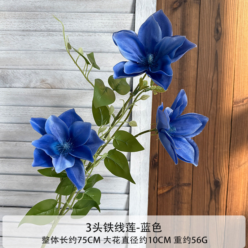 클레마티스 3개