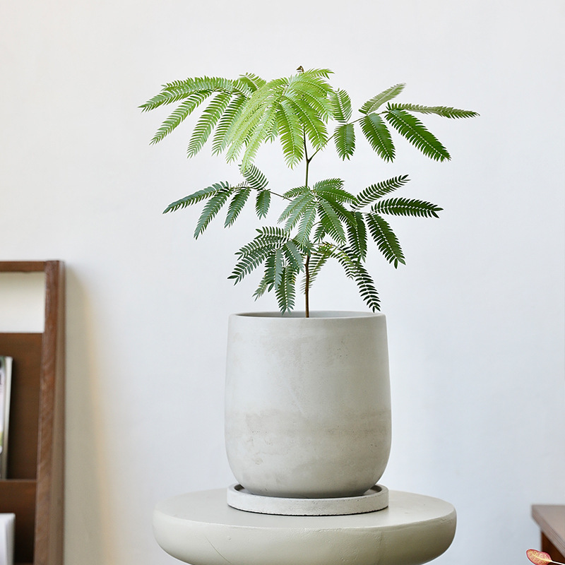 Japanese Wabi-Sabi Style Breathable High Cement Flower Pot Terracotta Coarse Pottery Monstera Retro Green Plant Ceramic Pot with Tray Large Size