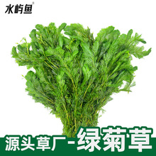 �G��ˮ��ɢ�b��ˮ���~���쾰�[����ˮ���b�ˮ�����^�p�󾰲����l