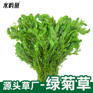 �G��ˮ��ɢ�b��ˮ���~���쾰�[����ˮ���b�ˮ�����^�p�󾰲����l