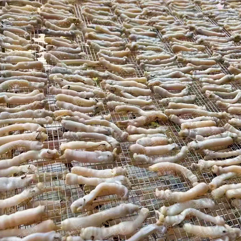 沙虫干烘干机 鱼虾海鲜烘干箱 空气能热泵海产品烘干设备生产厂家