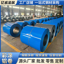 ʉT BFƤ ݾGɫ36L䓾 0.5mmPEʉT