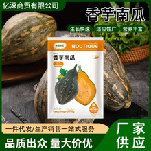 粉糯香芋南瓜种子粉糯香甜芋香味浓农家菜园播种早熟南瓜蔬菜种籽