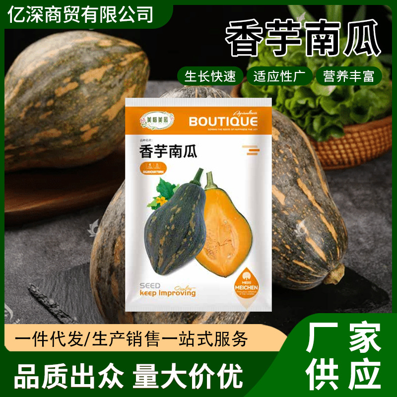 粉糯香芋南瓜种子粉糯香甜芋香味浓农家菜园播种早熟南瓜蔬菜种籽