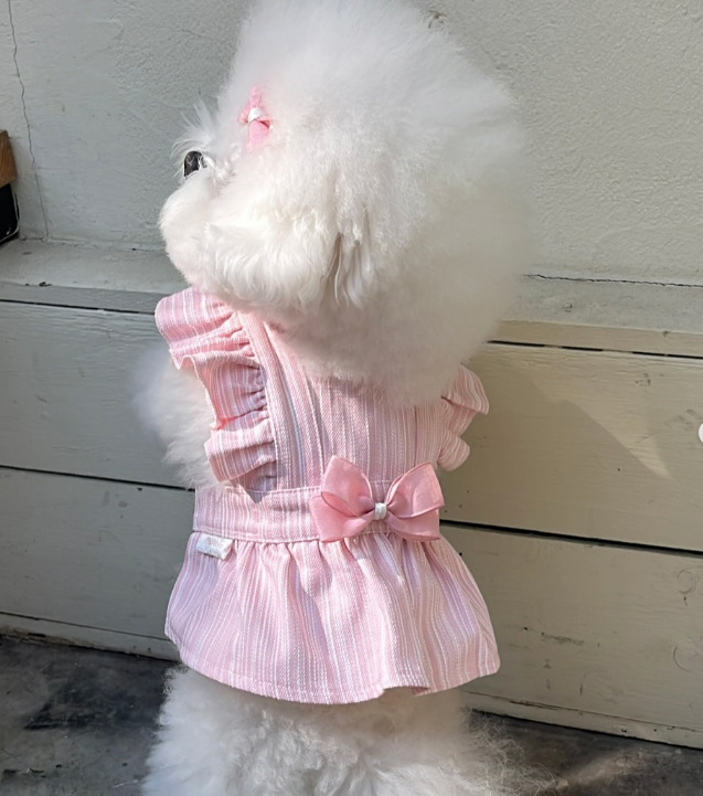 Robe de princesse pour chien style hepburn pour petit chien chat_voghion.com